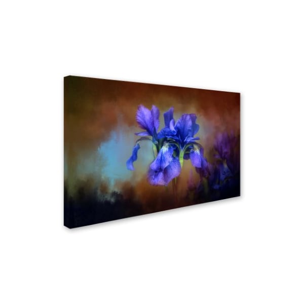 Jai Johnson 'Blue Iris Blooms' Canvas Art,22x32